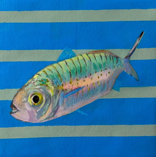 The Rainbow Herring Original
