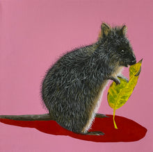 Laden Sie das Bild in den Galerie-Viewer, Breakfast Quokka - Original