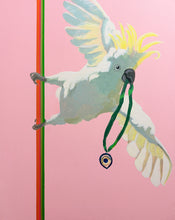 將圖片載入圖庫檢視器 The Medal Thief aka Allan Birder Original