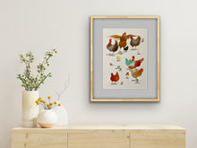 將圖片載入圖庫檢視器 Lotsa Chooks 2 Original