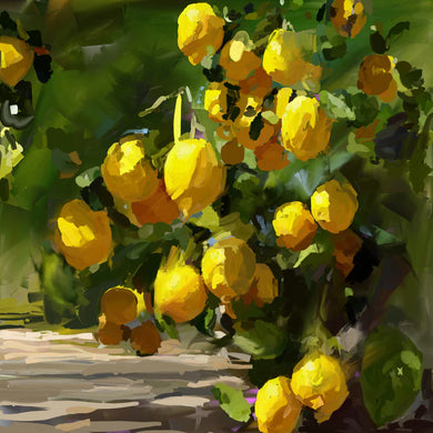 The Lemon Tree - A Stroll Through the Orchard - Limited Edition (50) Canvas Print