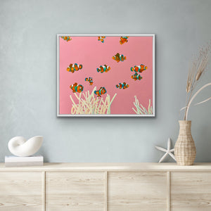 Clownfish 1 - Original